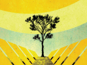 Illustration of a tree against a colorful background